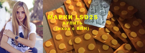индика Нефтегорск