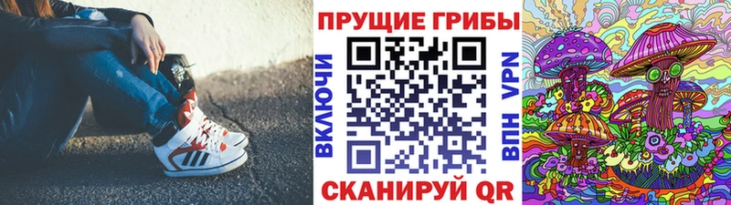 Галлюциногенные грибы прущие грибы  KRAKEN ТОР  Юрга 