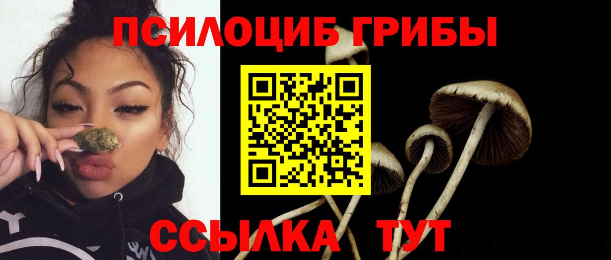 Псилоцибиновые грибы мухоморы Юрга