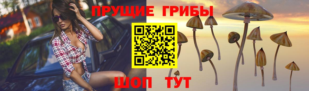 Псилоцибиновые грибы мухоморы  Вход с VPN  Юрга 